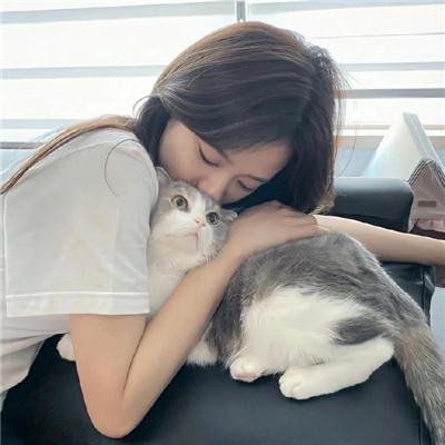 抛妻奇谈